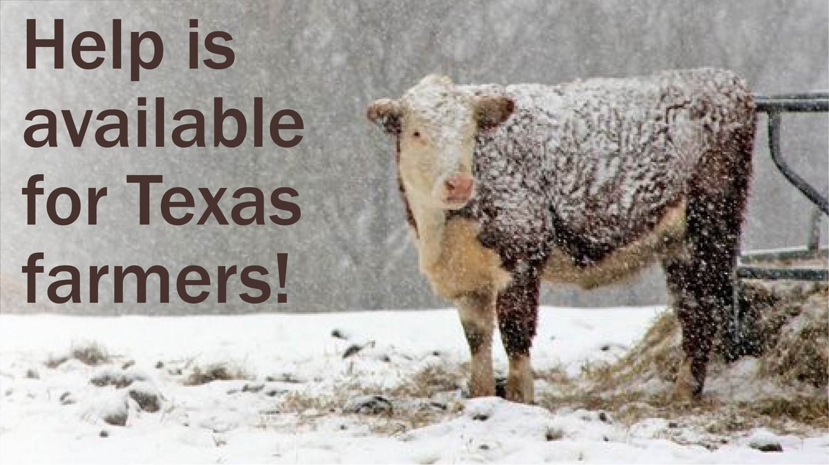 FARFA is working with a number of Texas organizations to finalize details for distribution of emergency funds to farmers and ranchers impacted by the recent storms. In the meantime, a number of resources are available to assist. Find out more at farmandranchfreedom.org/texas-storm-cr…