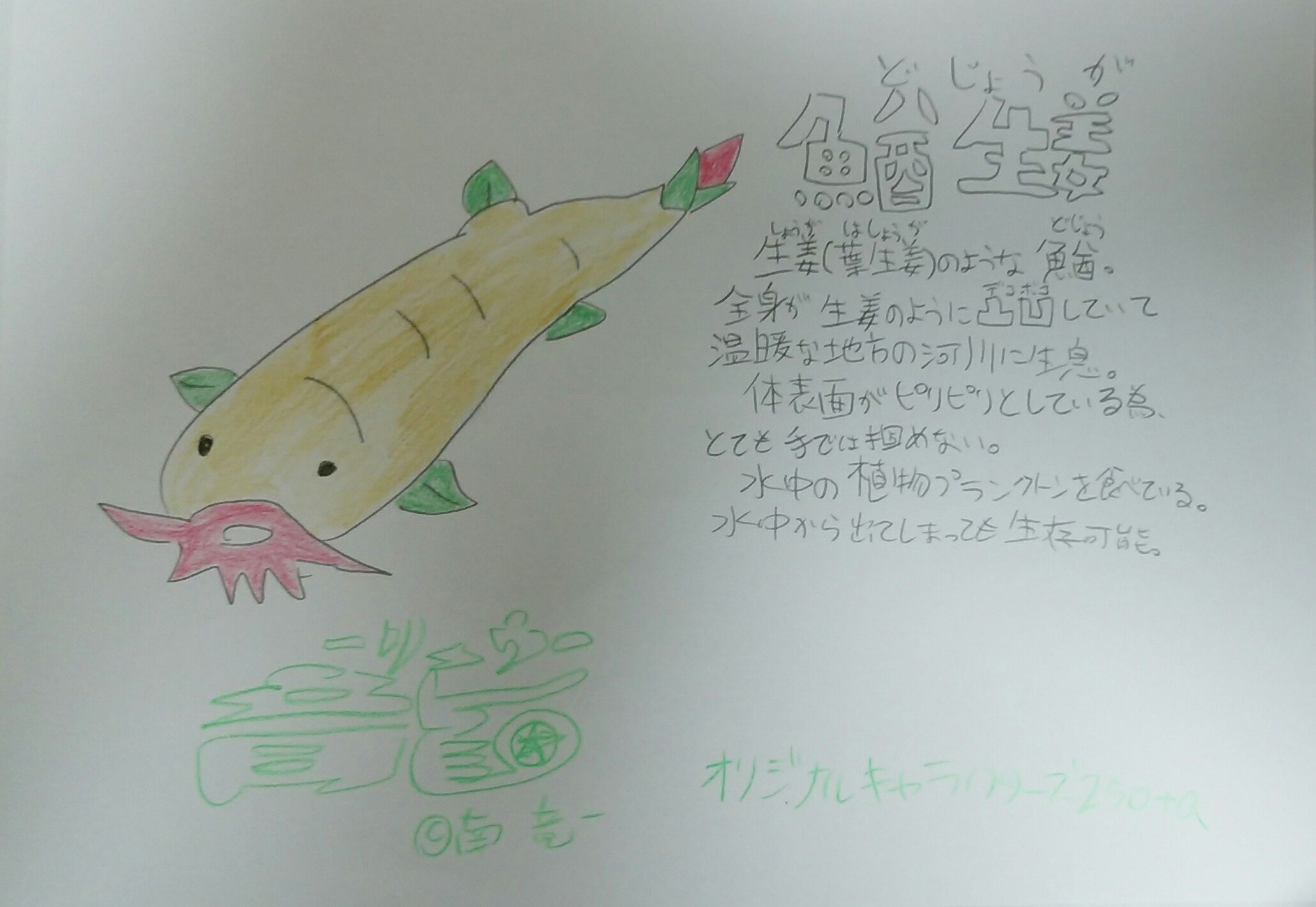 どじょうが Twitter Search Twitter