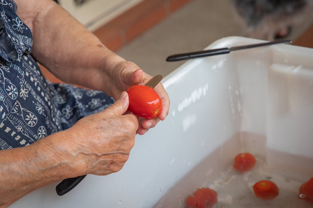AlboMP's tweet photo. Happy Tomato Day! Spent the morning making a year’s worth of passata with the Bertoni family in Concord in Sydney. Nonna even let me take a couple of jars home. https://t.co/fd3GOKppgU