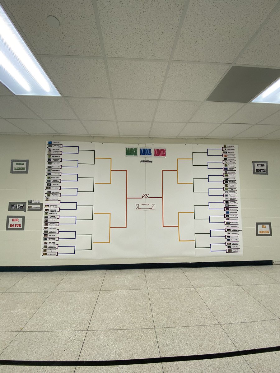 Ms_Eustice's tweet photo. @arharms and @icwestlibrary killed the bracket game this year for @2021MMMletsgo 💛💚 @ICWPrincipal ... care to compete??? https://t.co/G5OKXCPhPC