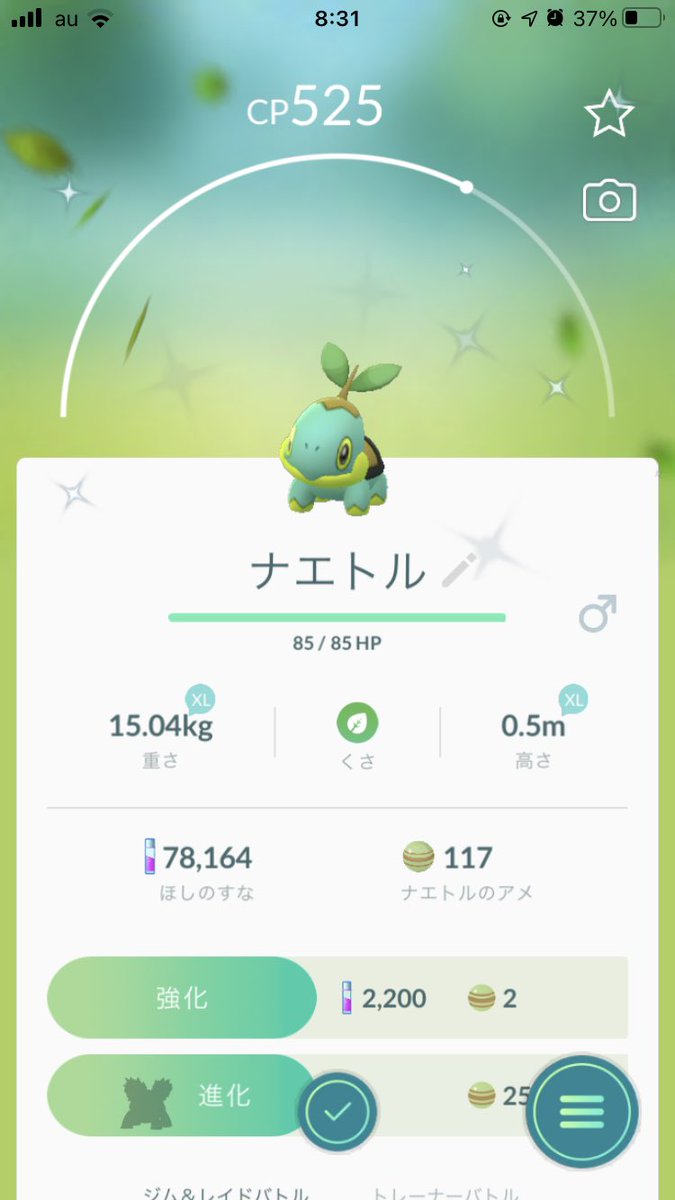 ナエトル X パリメイク Hotワード ナエトル X パリメイク Hotワード