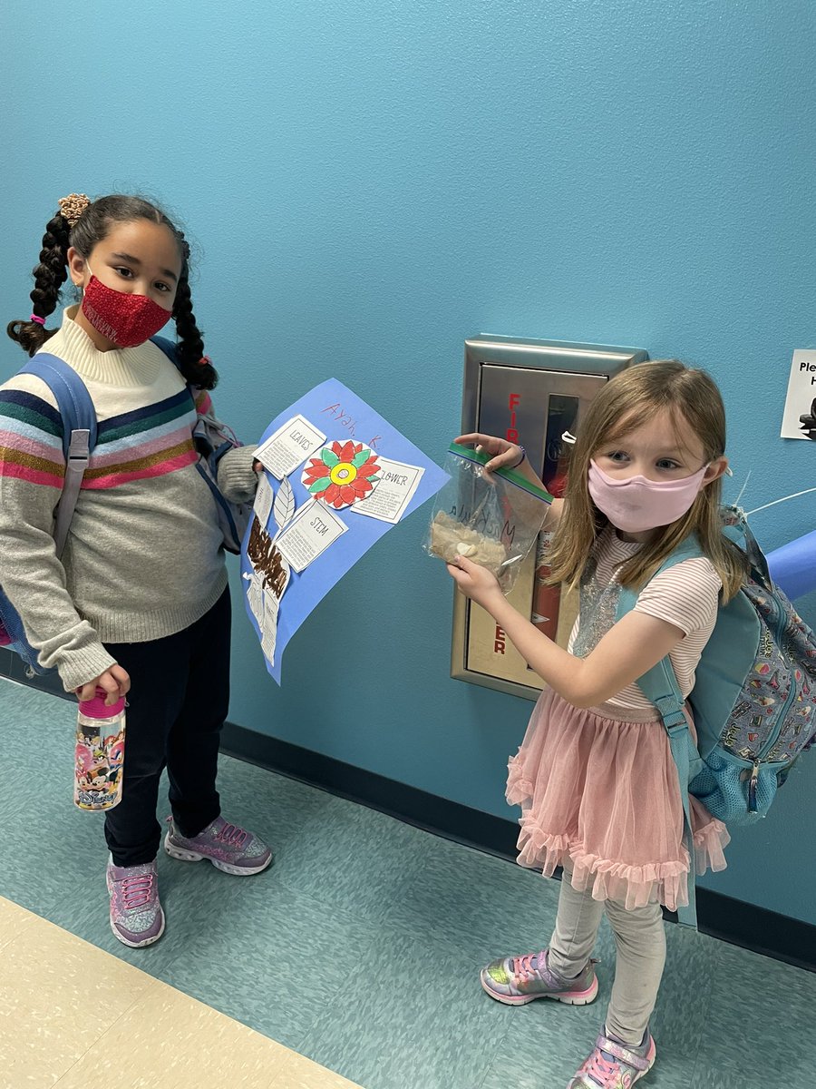 Castleview First Grade tweet media