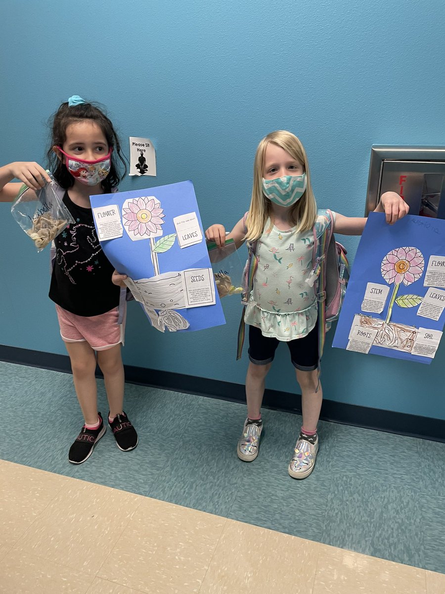 Castleview First Grade tweet media