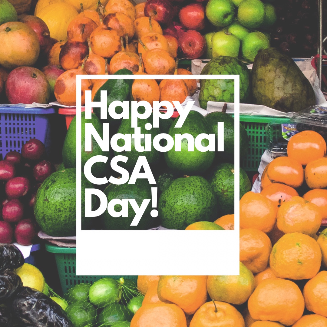 Bounty from the Box tweet media