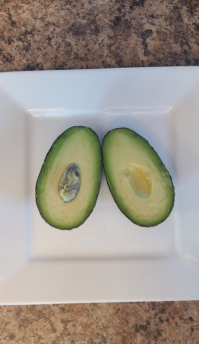 reluctanthmmkr's tweet photo. Does anyone else get giddy when they cut open an avocado and it's near perfect inside? No brown spots, no stringy stuff and more fruit than pit. 🥑 #yum #theperfectavocado #avocadosoftwitter #avocado #avocados #avocadolove #thereluctanthomemaker https://t.co/H6K9MiurDE https://t.co/EiMy9xb6dr