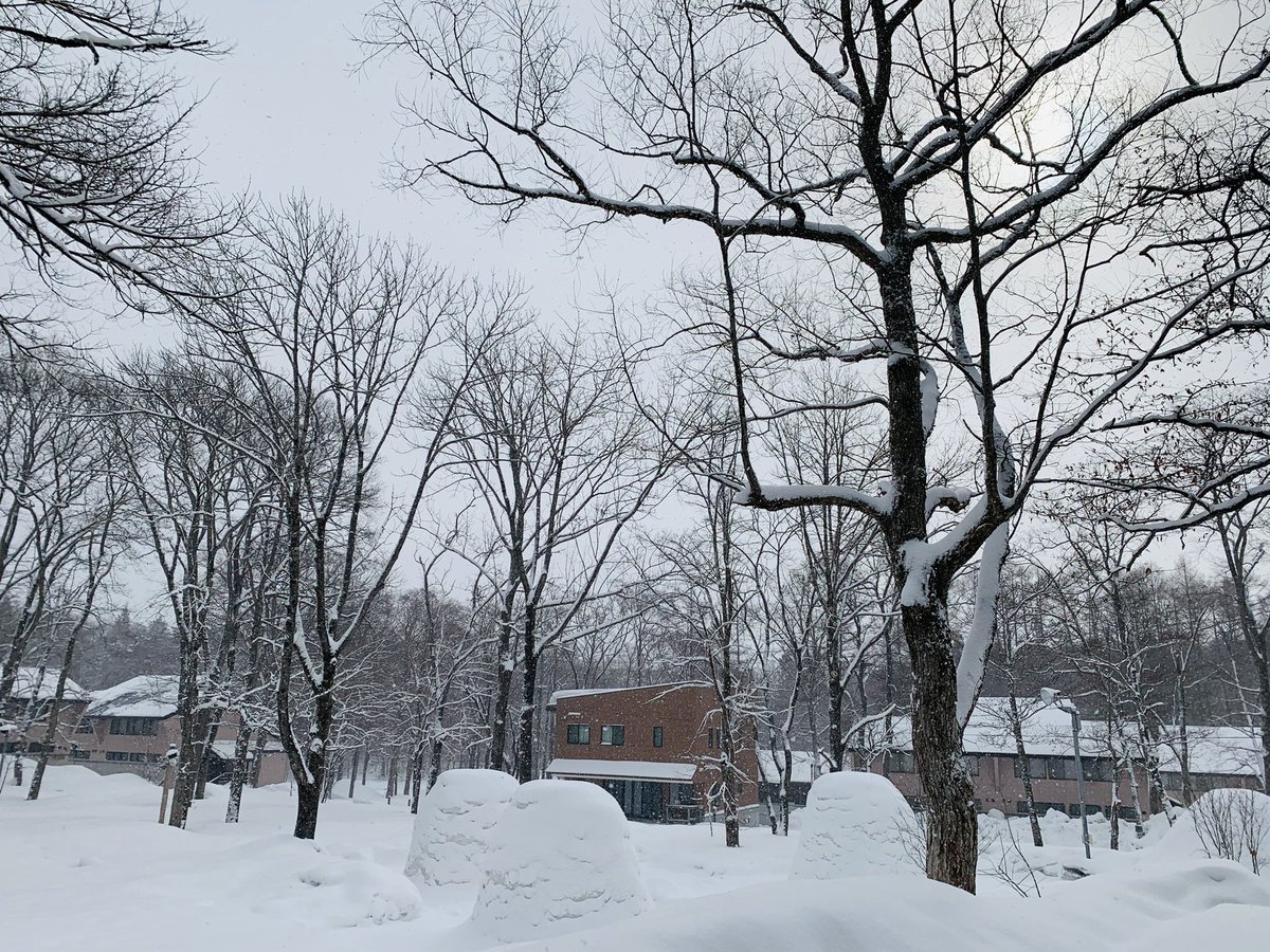 laboland's tweet photo. 本日、ちょっと予想外の雪。
ネットの天気予報ではあまり予想されていなかった。
でも、かまくらには恵の雪。
最近の天気はおかしい。過去のデータがあまりないから予報が外れやすいのでしょうか。
#laboland #ラボランドくろひめ #長野県 #信濃町 #かまくらでお鍋 #親子で雪遊び #黒姫高原 https://t.co/kXZIx3c9Wa