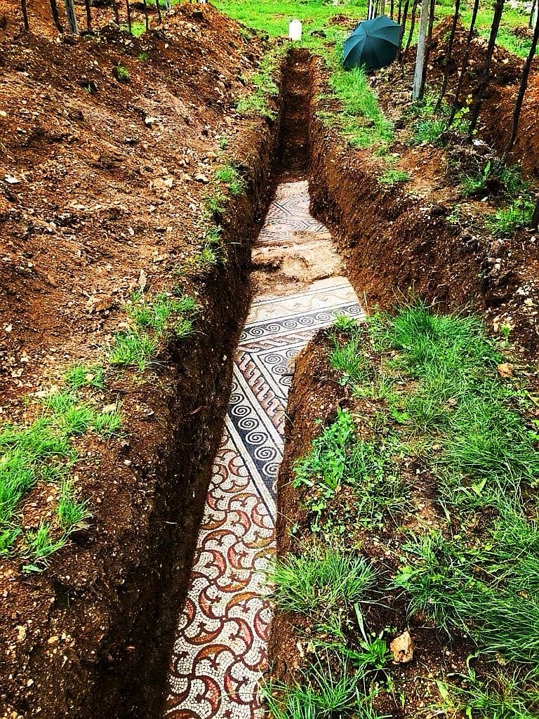 10thLegio's tweet image. An incredible Roman mosaic floor dating to the 3rdC AD discovered near the city of Verona, northern Italy. These remarkable images show the almost perfectly preserved Roman villa floor that was unearthed from beneath a tangle of vines in 2019.