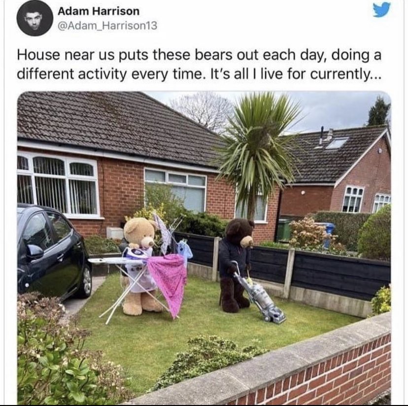 Yeah, ummmm soooo <a href="/Adam_Harrison13/">Adam Harrison</a> ....we could use more of these #precious #ilive #cutestthingever