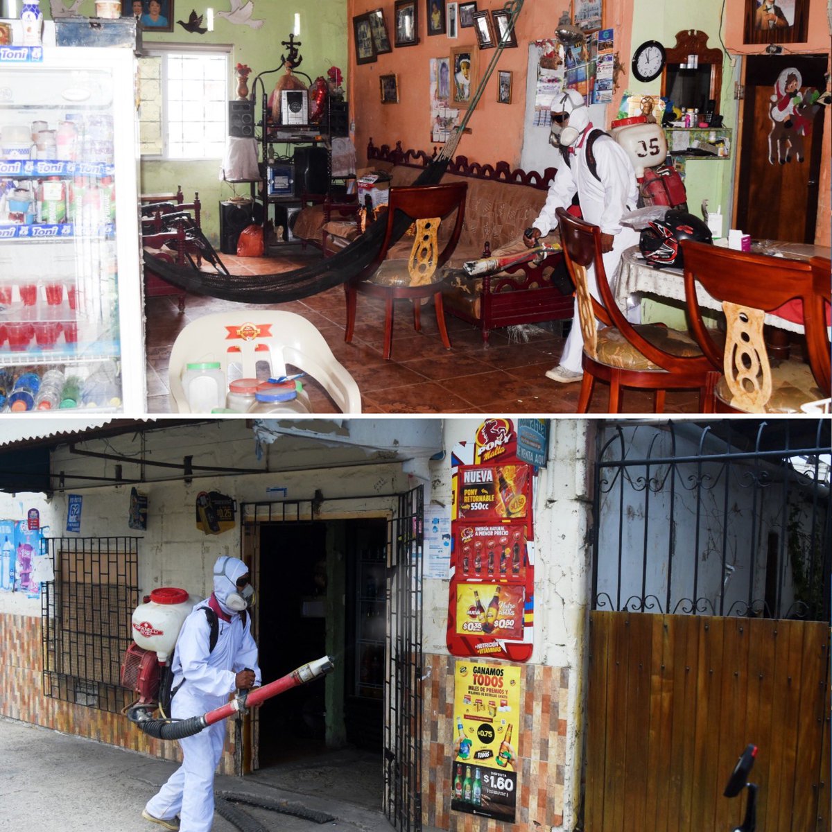 BrunoDedeLl's tweet photo. La #Pandemia aún no termina! 🦠
En el transcurso de la semana visitamos a varias familias #Libertenses, quienes solicitaron mi ayuda para coordinar #Desinfección al interior y exterior de sus casas 🏘
Los trabajos continuarán gracias a la colaboración de @JDanielVillao https://t.co/nFTZVL4hcE