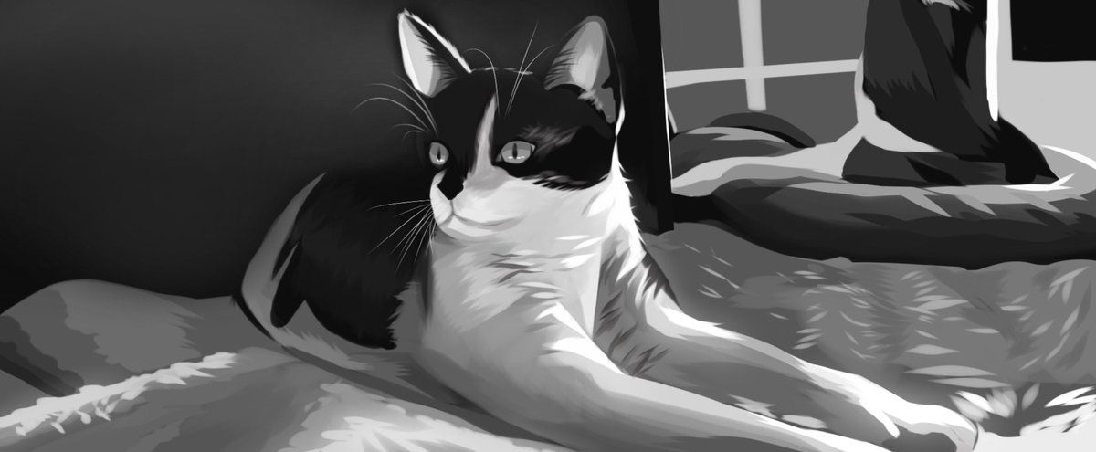 My cat but this turned out to be a bad idea LOL how does one even draw animals 