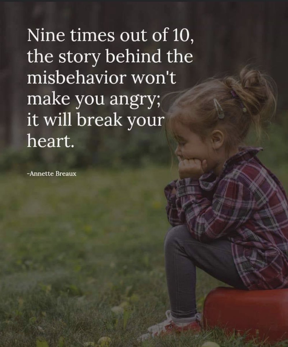 Maite Porter tweet media