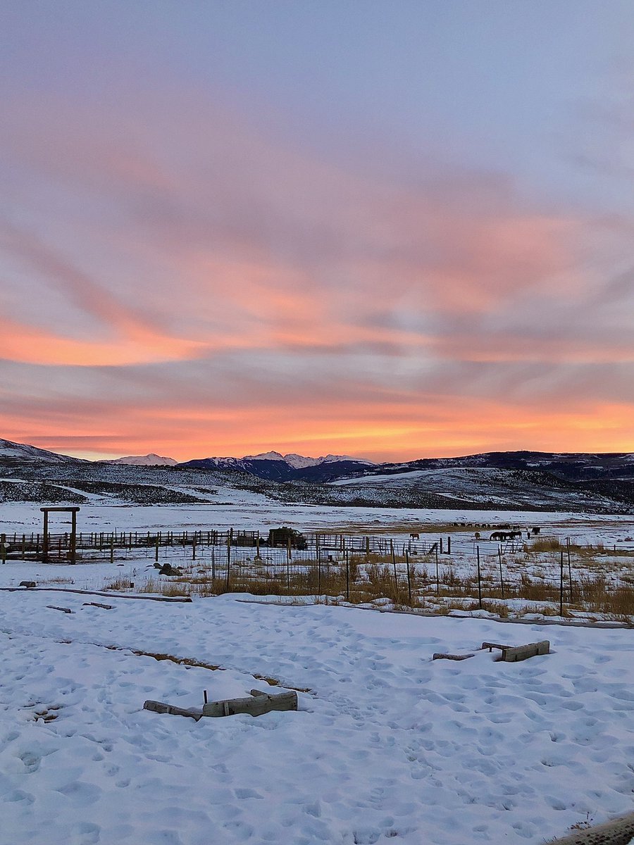 My Scoop tweet media