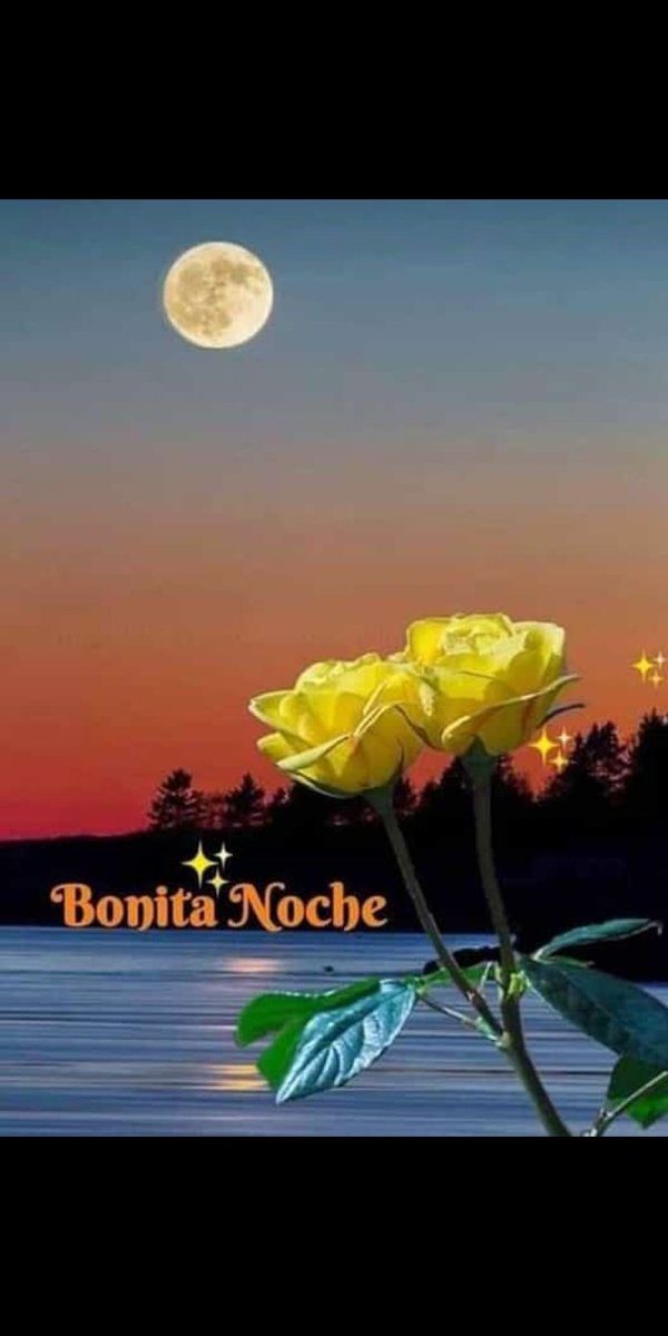 ✨✨🌜#ElEsequiboEsDeVenezuela #PatriotasEnUnidad ✨✨🌛@Mippcivzla @NicolasMaduro @VTVcanal8 @joangelion @NancySa0 @Ludimari4 @Jonasbrrg @KimZabala99 @morcon95 @CoromotM @MileM29 @M29Ruben @Melissa29g @amelia74698445 @98rivasB @BoYraida @Amerik79330042 @roxy_93_93