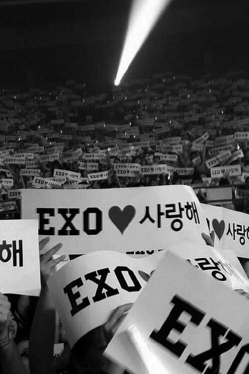 StanSehuni's tweet photo. اكسو سوف نظل ندعمكم للابد حتى تطير ارواحنا م̷ـــِْن جسدنا وتذهب للسماء 🤞♥️ https://t.co/n5dKVSugAF