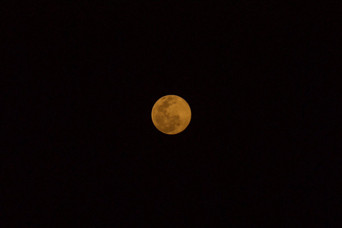 ValeWolf's tweet photo. La luna de febrero es conocida como la luna de nieve. Esta noche está 99% llena 🌝 desde @Huitzquillocan @InfoHuixqui @El_Universo_Hoy @AstroAventura @StormHour @webcamsdemexico #snowmoon #lunadenieve #FullMoon #lunallena https://t.co/6kAVytd2SG
