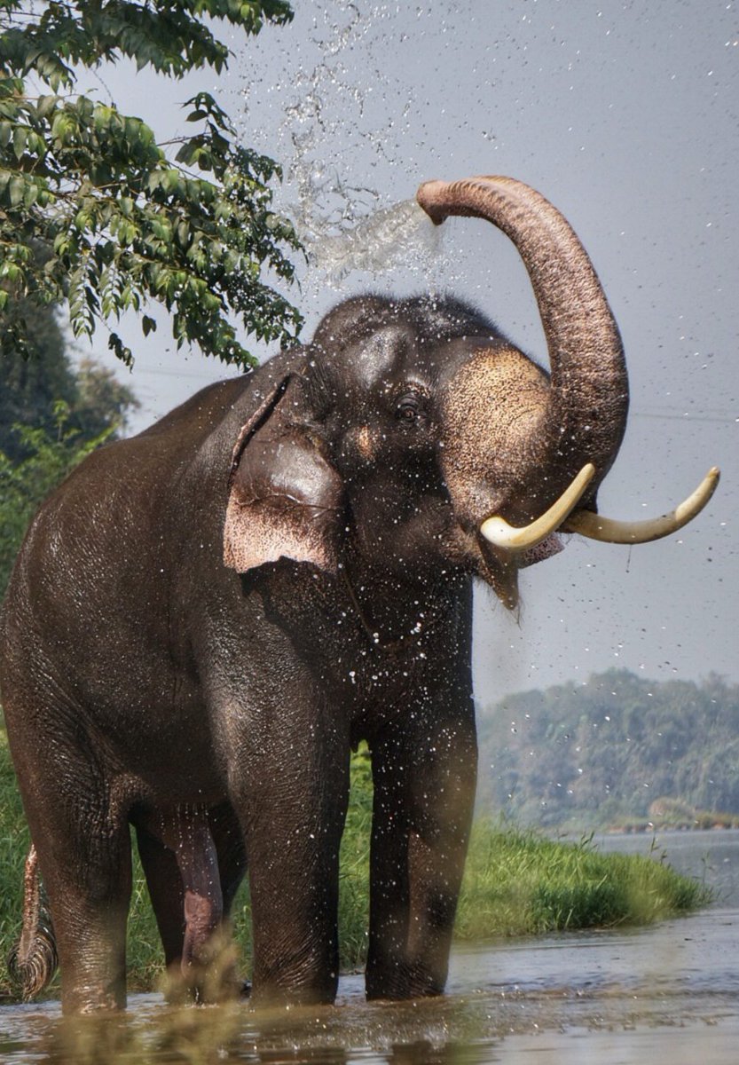WebScaleDBA's tweet photo. https://t.co/blGCGRuTrg Configuring PostgreSQL for optimal performance, How to ? #PostgreSQL #PostgreSQLDBA #PostgreSQLPerformance https://t.co/lNqd4jVGH8