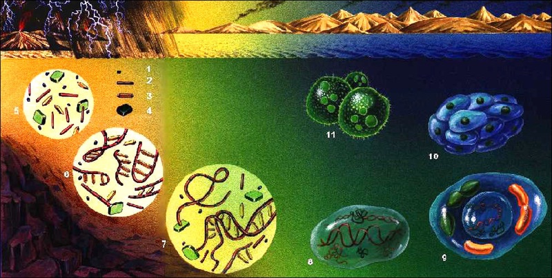 Гипотезы происхождения жизни на земле биогенез