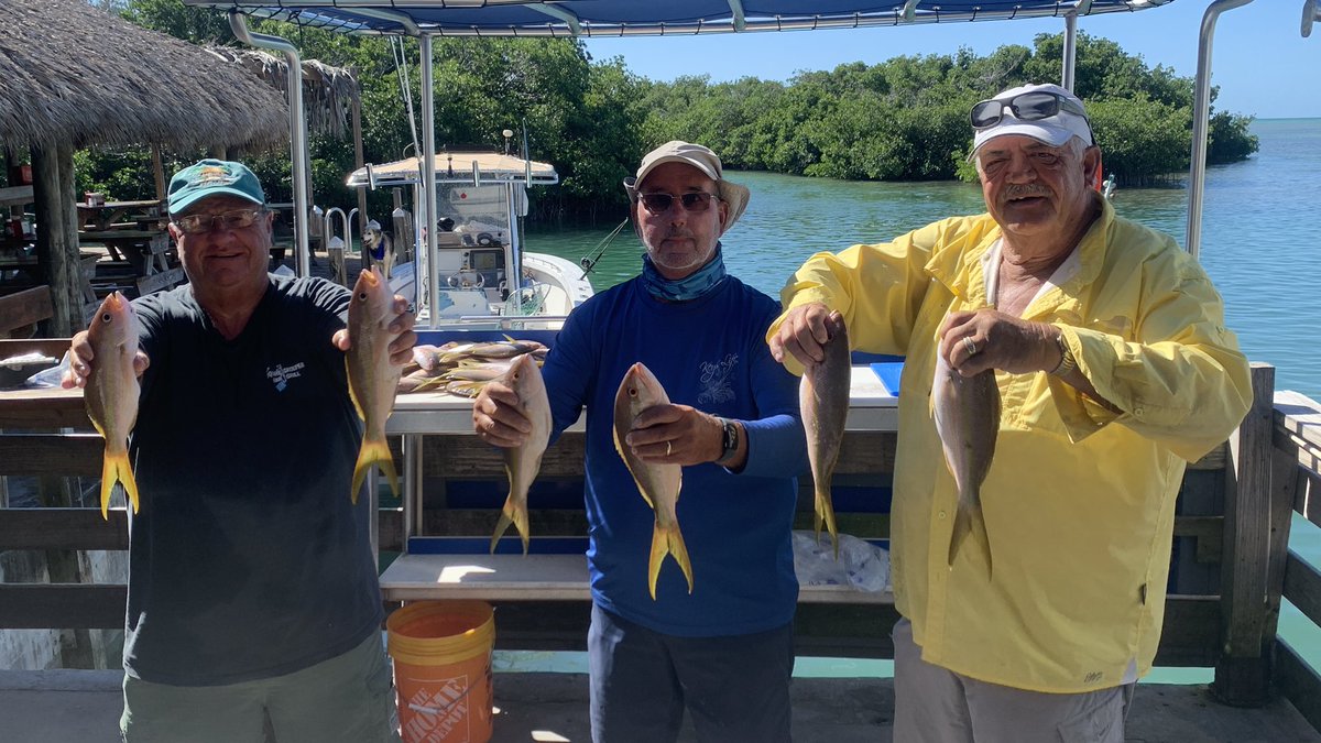 ChiefDogKevin's tweet photo. Yellowtail! It's what's on the menu! #catchoftheday #fishing #flkeys #keywest #limitedout https://t.co/EeqRshUoQN