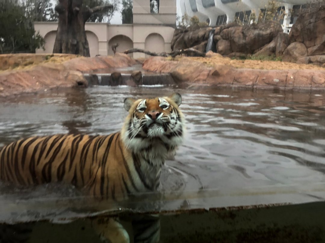 Bayard(NE) High School Boys Basketball (BayardBB) Twitter