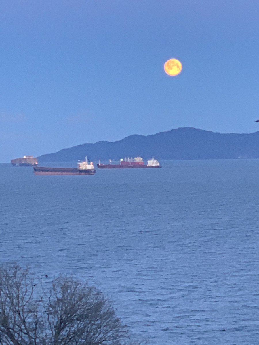 Eric Bird tweet media