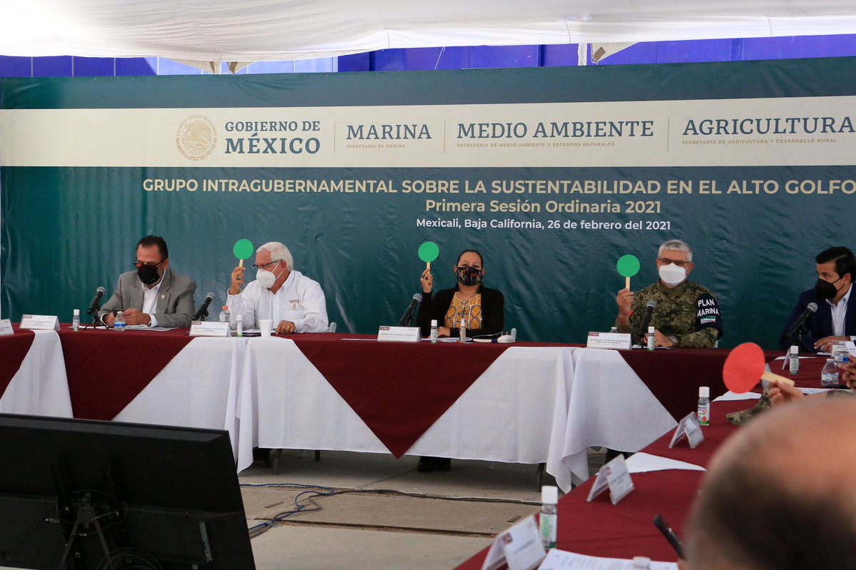 Mary_Luisa_AG's tweet photo. Llevamos a cabo la 1ra Sesión Ordinaria 2021 del Grupo Intragubernamental sobre la Sustentabilidad del Alto Golfo de California en Mexicali.

Compartimos la labor del @GobiernoMX y acordamos fortalecer acciones por el bienestar de la población y el cuidado medioambiental. https://t.co/DlfjNM57gj