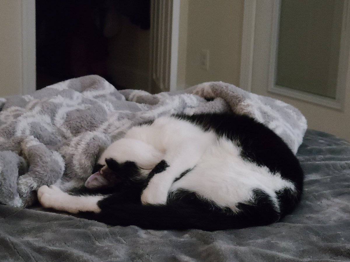 I see your *stolen* photo of comfy Letho, <a href="/CohhCarnage/">Cohh Carnage</a> , and I raise you leg flair: