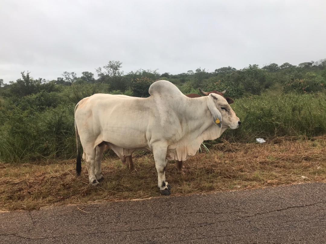 ICTin Agriculture tweet media