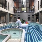 ツイートに含まれる画像