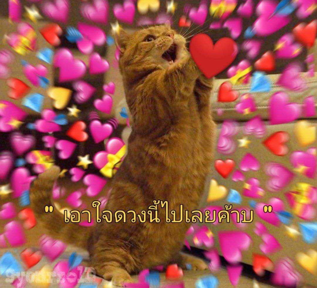 @close tweet media