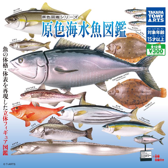 海水魚のtwitterイラスト検索結果 海水魚のtwitterイラスト検索結果