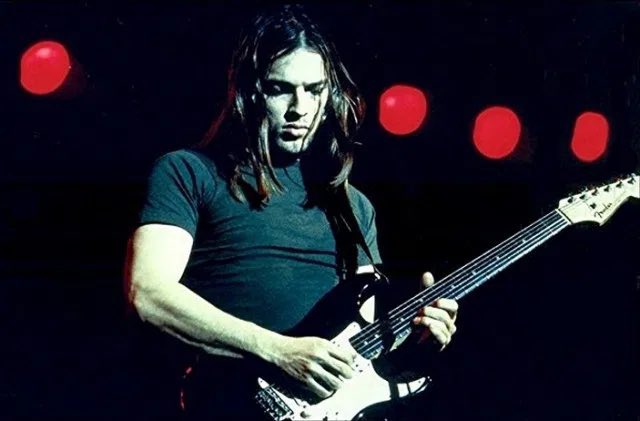 hold.btc tweet media