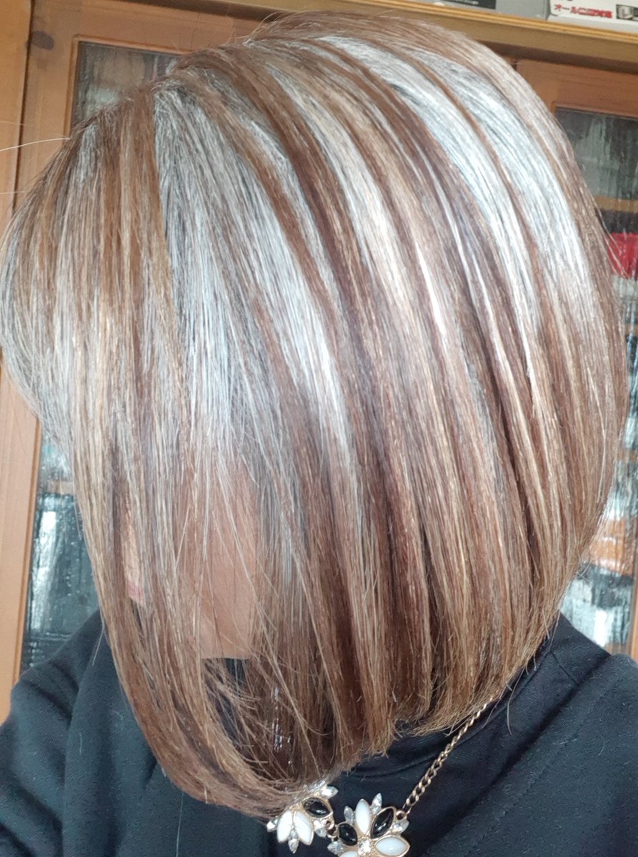 グレイヘア移行中 Twitter Search