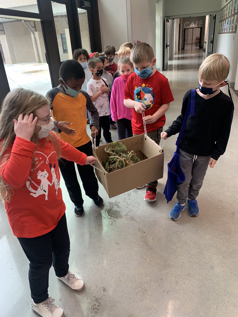MrsDinh1's tweet image. For #engineersweek2021, we read The Gigantic Turnip and designed a way to carry our school’s gigantic turnip in the garden to our classroom! Our scholars agreed to build a basket with 4 handles! It was success! @canstem #becannonproud
