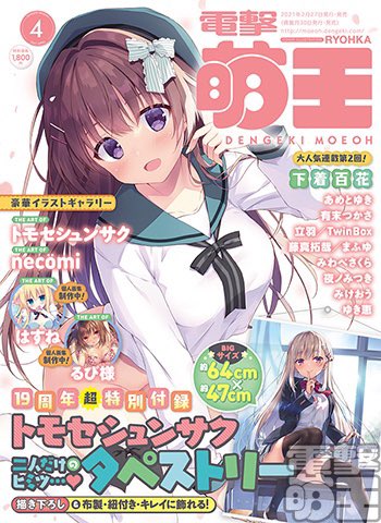 電撃おとなの萌王 A4 クリアファイル イラスト:涼香/RYOHKA 新品 電撃おとなの萌王 A4 クリアファイル イラスト:涼香/RYOHKA 新品