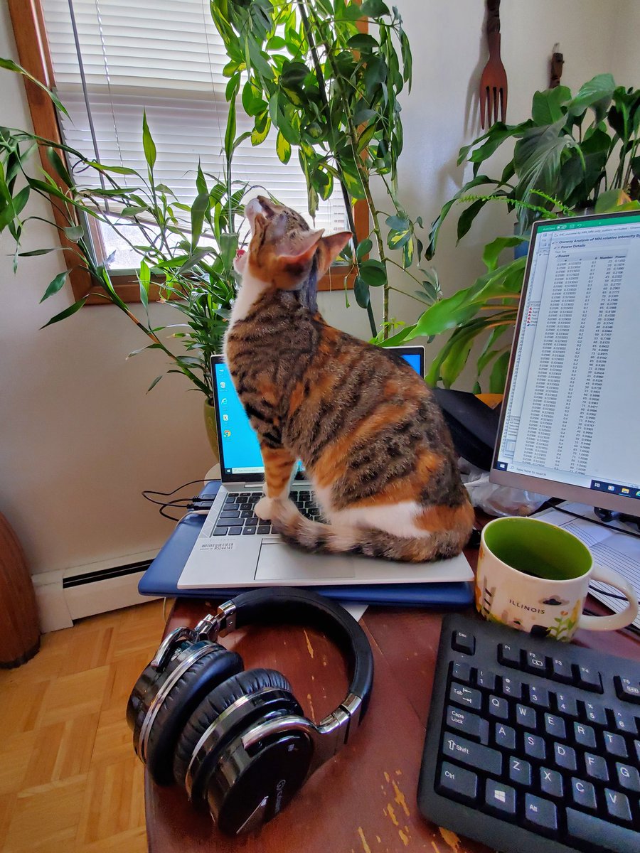 Sometimes you're in a meeting thinking about science... but the world just screams: FEED me, Seymour