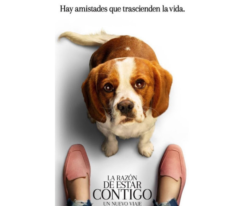 Película Full HD GRATIS disponible en pelicula4k.com/full-hd/la-raz…

Ver trailer youtu.be/JRGweENEIFM

* Calificación🗒️ *
IMDB 7.2 / 10
Rottentomatoes 🍿AUDIENCE 91% // 🍅CRITICIANS 50%

Nuestras redes AQUÍ
hypel.ink/pelicula4k