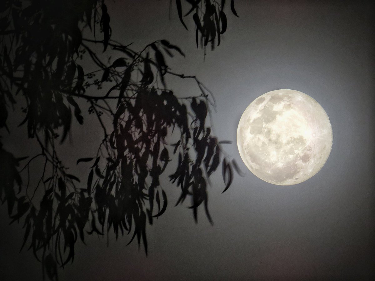 rulo_ze's tweet photo. @constanza https://t.co/fyXHVwJBC9
