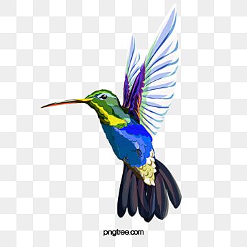 ハチドリのtwitterイラスト検索結果 古い順 ハチドリのtwitterイラスト検索結果 古い順