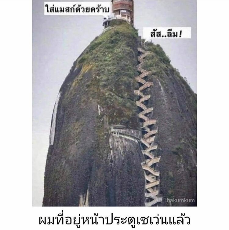 สตอรี่หมีขาว tweet media