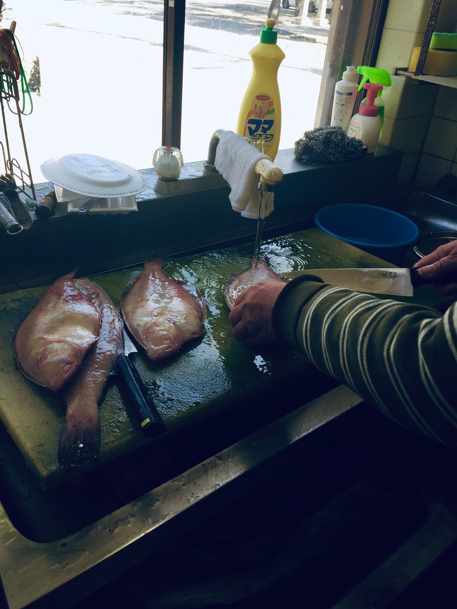 Yukko T Tetra Yukko Twitter