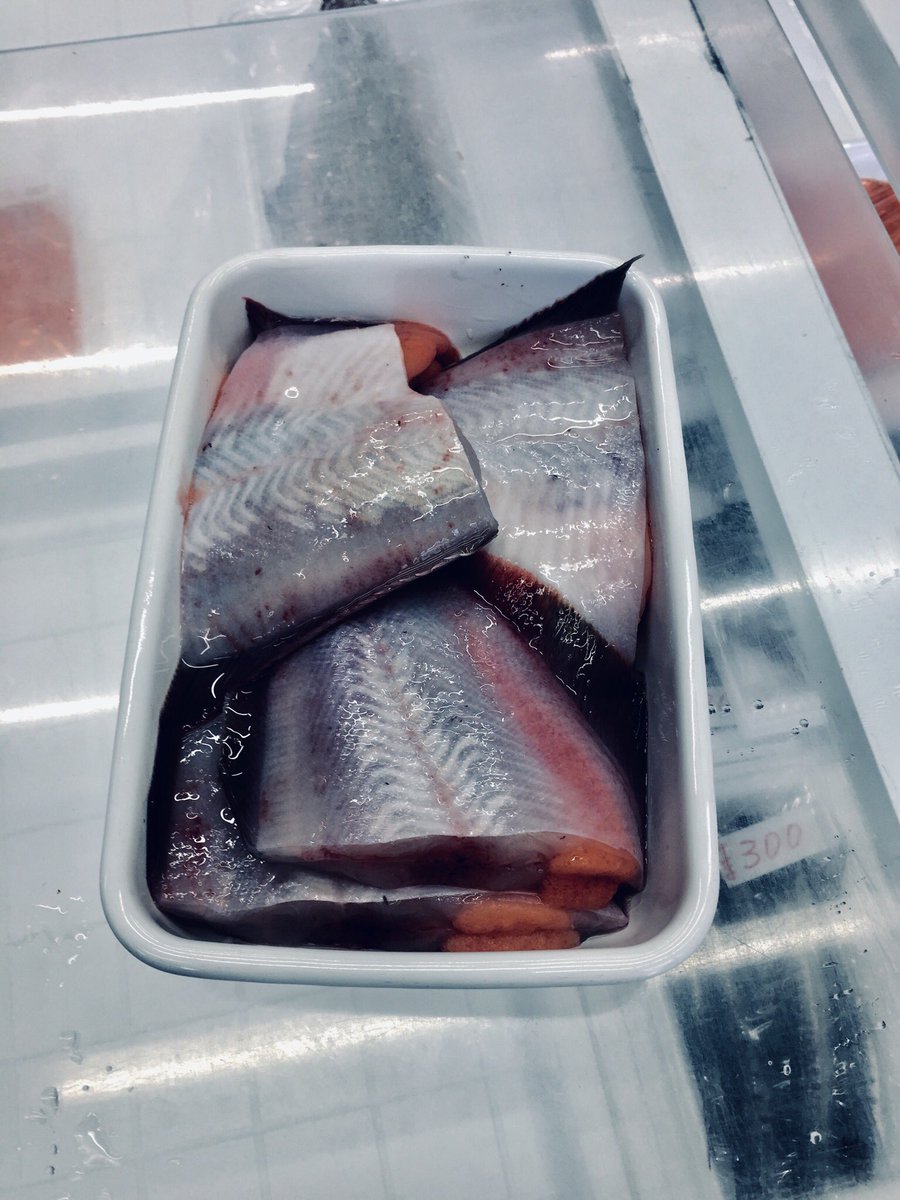 Yukko T Tetra Yukko Twitter