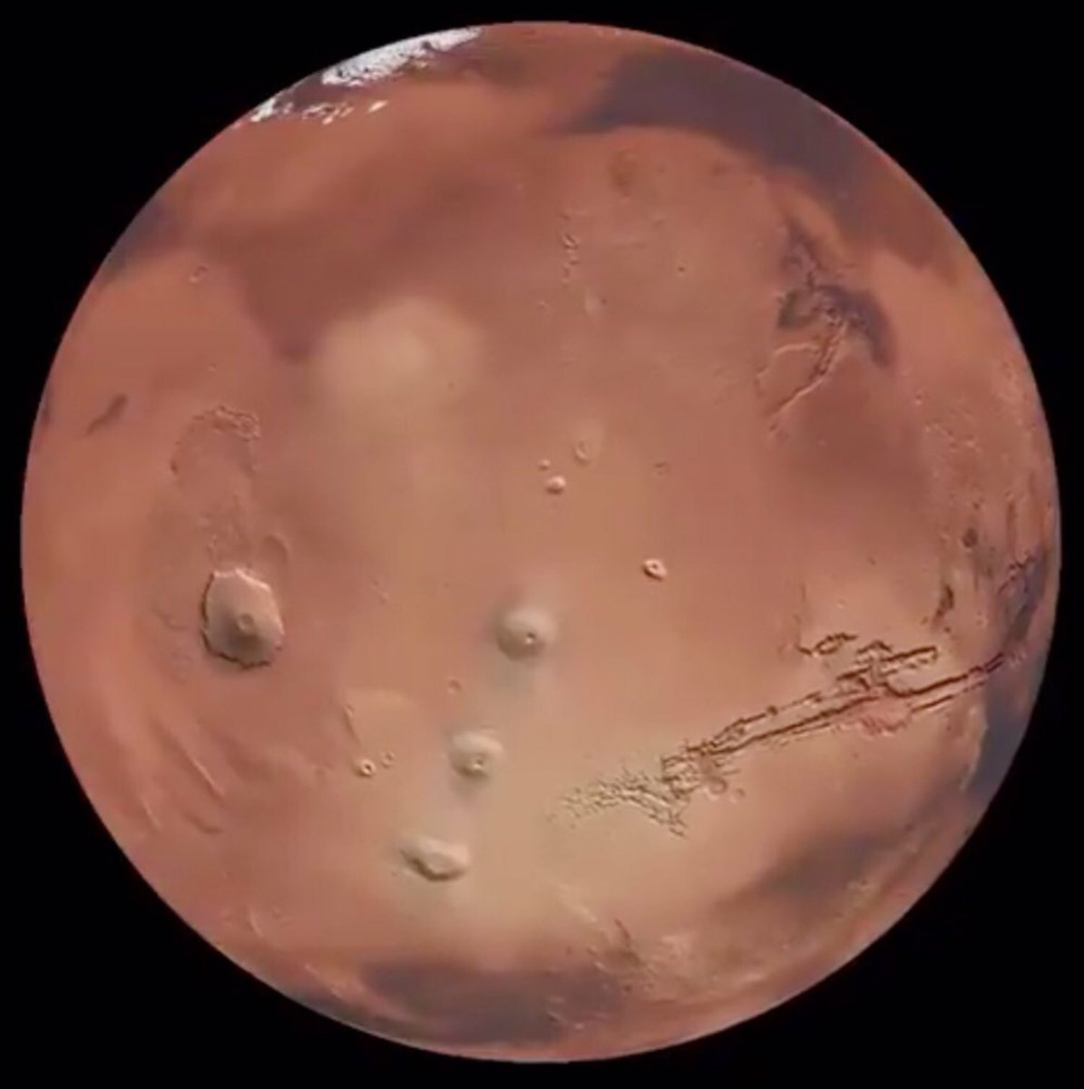 Mel Winn tweet media