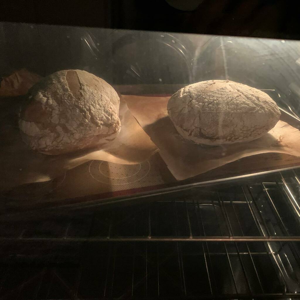 cap10tim's tweet image. Late night sourdough baking... I think after almost9 months, I’ve figured out how to get an oven spring! Fold, fold, fold.
.
Now to keep the smoke detectors from barking late at night.
.
#TheGreenHairGuy #makeyourownbread #sourdough instagr.am/p/CLyHaUsnyZE/
