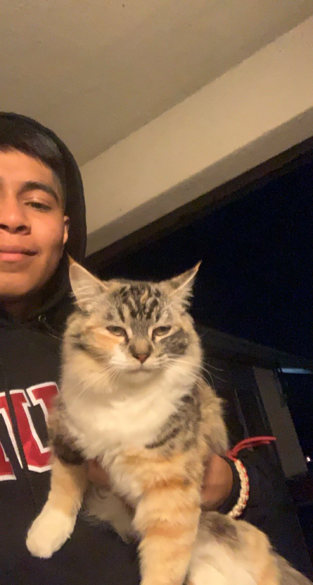 adoIfno's tweet photo. I just wanted a nice picture but my cat wasn’t having it 😔 https://t.co/Jp0b9us4dl
