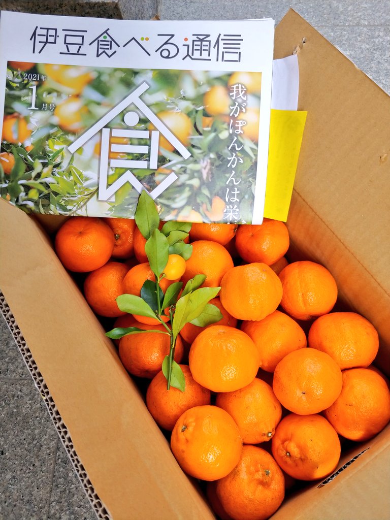 3d_papas's tweet photo. 暗号通貨で幻のポンカンゲット🍊🙌
美味すぎて、すでに2キロほどが胃袋に吸い込まれたのであった😋
https://t.co/2O8fkCoWl8
#Avacus #Avacusbazaar https://t.co/ni6xIJJIcW