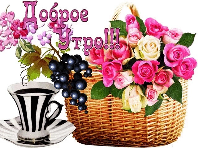 Томочка доброе утречко. Анимированные стикеры добрый день. С добрым утром картинки красивые. Стикеры добрый день красивые. Доброе утро цветы.