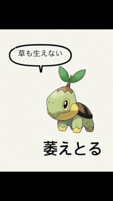 ヒコザルのtwitterイラスト検索結果