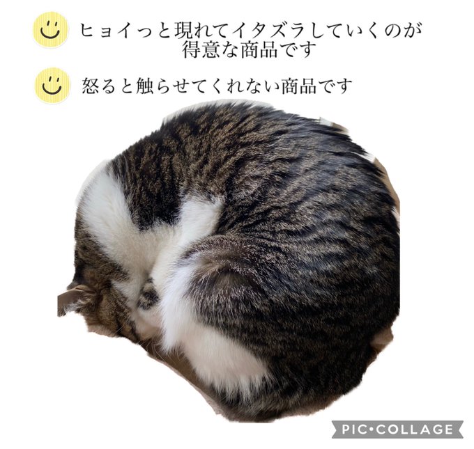 ちょっとバタバタしてたら拗ねたwのtwitterイラスト検索結果