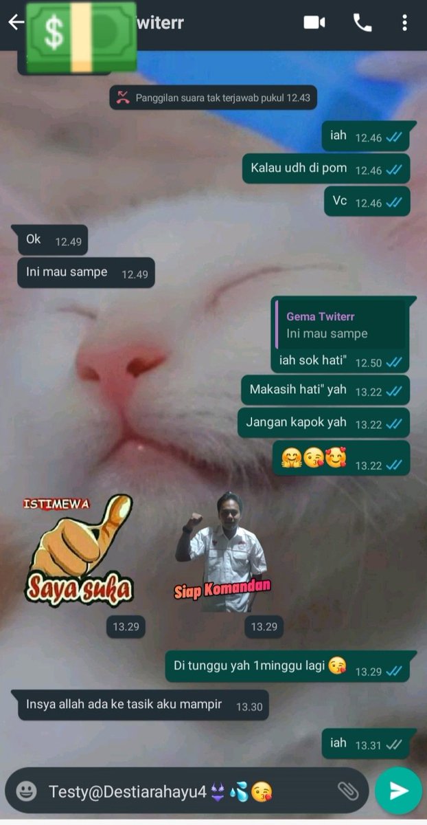 DestiaRahayu4's tweet photo. #openbogarutAvail garut kota
Yuk di keep dullua sayang...yakin kalian gak penasaran💦
Info RR DM/WA 081932222234😍

#TrustedAngeL 
#TRUSTEDBISYAR 
#bisyargarut
#openbogarut
#bogarut
#codnodp
#availbogarut
#availgarut
#bogarut
#realangel
#lendirgarut
#recomended4bo
#angelgarut https://t.co/8Fetwli7Vu