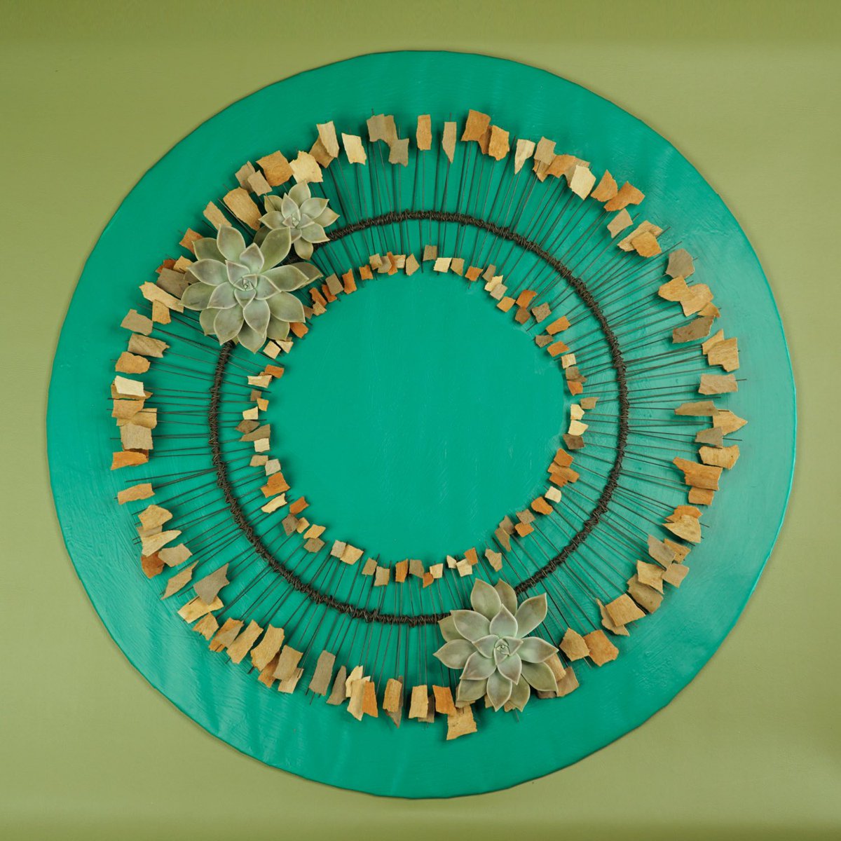 MarkPampling's tweet photo. Another project from the Design Discipline online course by Flower Thinking.
Wreath of bark with Echeveria detail.
.
#wreath
#wreathdesign
#echeveria
#contemporarywreath
#eucalyptus
#eucalyptusbark
#designdisciplineexperiment
#designdiscipline
#studyingfloraldesign https://t.co/muZv7ogvJT